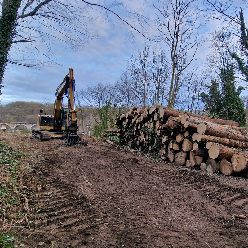 Gestion et valorisation des parcelles boisées